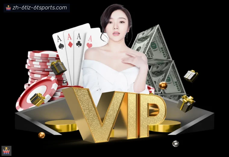 6T体育全站APP